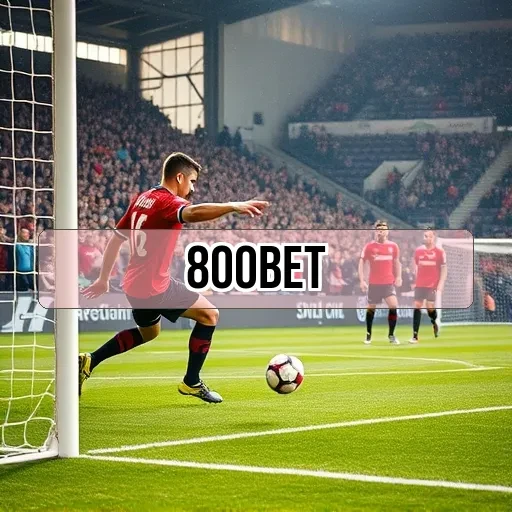 800 bet Promoções