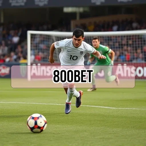 800 bet Perguntas Frequentes
