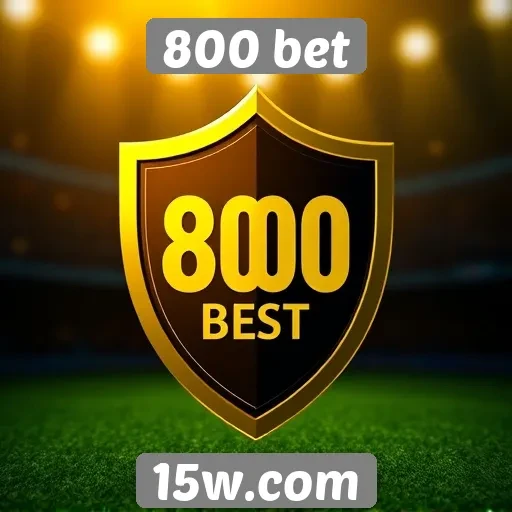 Segurança e confiabilidade no site 800 bet